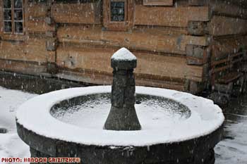 IMG_ (11446)